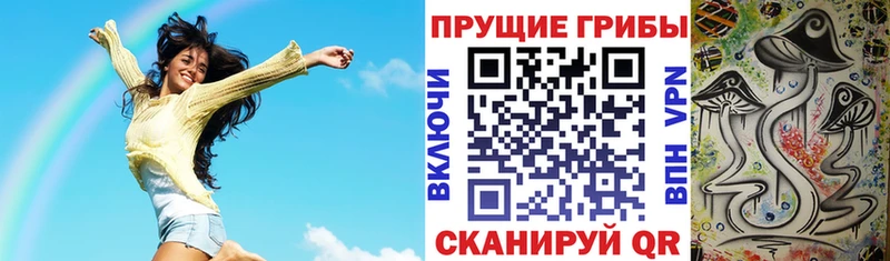 Галлюциногенные грибы Psilocybe  Нерчинск 